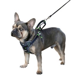 Car Safety Harness, Black, L 65-85 cm/25 mm