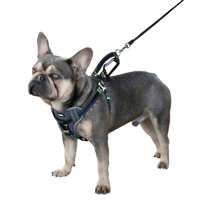 Car Safety Harness, Black, L 65-85 cm/25 mm