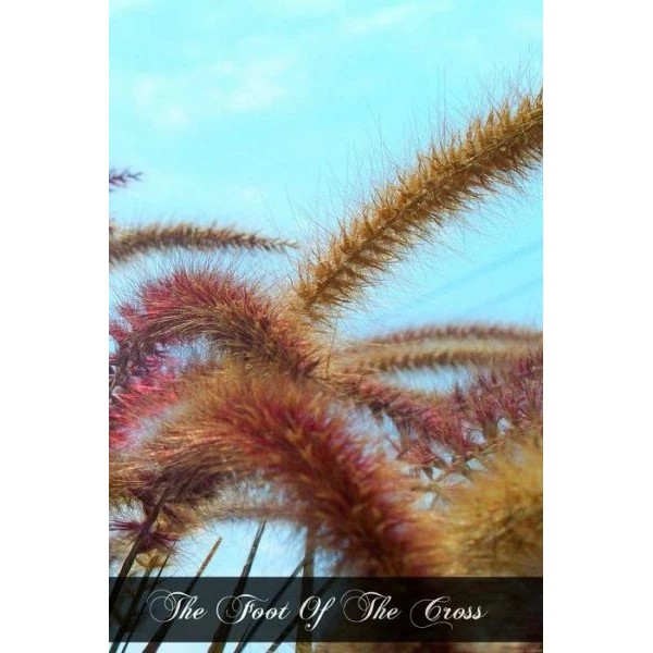 The Foot Of The Cross: The Sorrows Of Mary