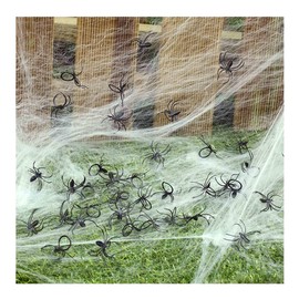 Bag 50 spiders