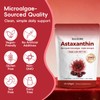 Astaxanthin 12mg with MCT Oil Softgels, Premium Astaxanthin Supplements Organic