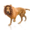 Lion Mane Wig for Dog Costume with Ears Pet Adjustable