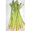 Lemon Grass Stalks, Freshly Harvested, 10 Count, For Thai Cooking