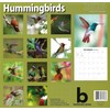 2026 Hummingbirds Full Size Wall Calendar for Planning, Scheduling, and