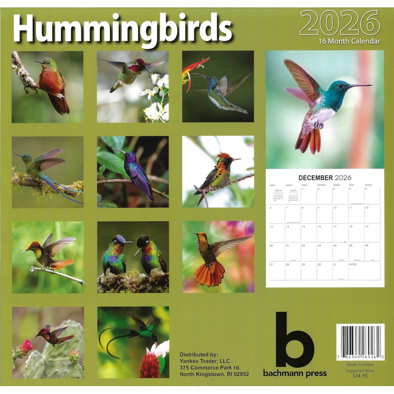 2026 Hummingbirds Full Size Wall Calendar for Planning, Scheduling, and