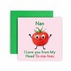 Huxters Birthday Cards for Women - I Love You Nan