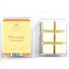 Sherwood Garden Home Fragrances Pineapple Coconut Soy Wax Melts 70