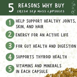 healblend Irish Moss, Bladderwrack, Burdock, & BioPerine - 1405mg with Black Pepper - Natural Wellness and Detox Support Supplement - 180 Capsules