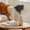 Extendable Feather Duster, 120cm Ostrich Feather Duster Extendable and Reusable,