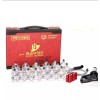 Hansol Buhang Massage Professional Cupping Therapy 19pcs Set with Suction