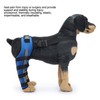 Dog Hind Leg Brace Breathable Elastic Shockproof Dog Leg Protector