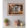 Clementoni Puzzle Collection - Kittens 500 Pieces, Compact Box -
