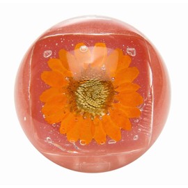 Blossoms Lip Gloss DUO Orange (Clear 0.1 oz (4 g) / Color: 0.1 oz (4 g) / Color: 0.2 oz (4 g) / Raspberry Scent, ORANGE 0.1 oz (4 g) + 0.1 oz (4 g)