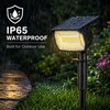 LED Solar Landscape Spotlight for Outdoor Lighting – IP65 Waterproof