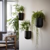 LA JOLIE MUSE Wall Hanging Planters for Indoor Plants，Hanging Flower