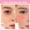 4 Pcs Jelly Blush Stick, 3 in 1 Milk Jelly