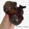 Chinese Tea Pet, Resin lychee Color-changing Tea Pet (2 Lychees+1