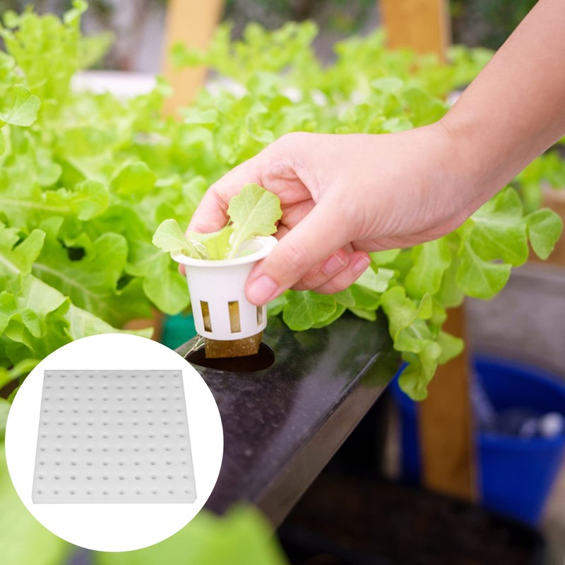 Eshylala 200 Pack Hydroponic Sponge Planting Tool Square Seedling Sponges