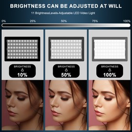 Jiang&Rong 2 Pack LED Video Lighting Kits Photography Recording Studio Light Camera Photo Light Adjustable 5600k USB Studio Light with Barndoor -9 Color for Games Streaming YouTube Tiktok Film