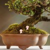 GANAZONO Realistic Stone Mushroom Decorations 2pcs Rose Quartz Mushrooms for