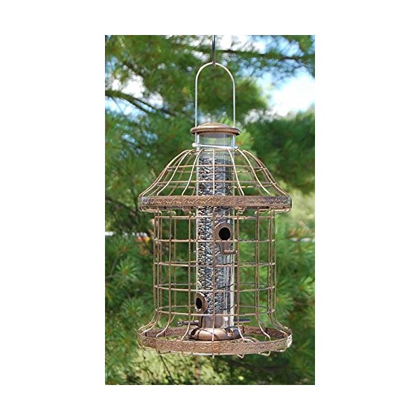 Woodlink Caged Wild Bird Feeder