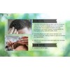 Totex Hair Styling Wax 150 ml & Wide Tooth Hair