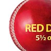 DSC Red Dot Leather Cricket Ball (Red)| Water Proofed Leather