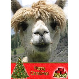 Alpaca Christmas Card 'Happy Christmas' - Special Xmas Card for Him Her Kids Male Female