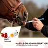 Equine Paste 1.87% – 12 Pack (6.08g) Apple Flavored Oral