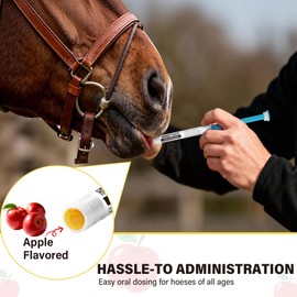 Equine Paste 1.87% – 12 Pack (6.08g) Apple Flavored Oral for Horses