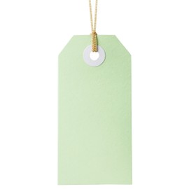 Avery Green Swing Gift Tags with String, 96 x 48 mm, 24 Tags (13203)