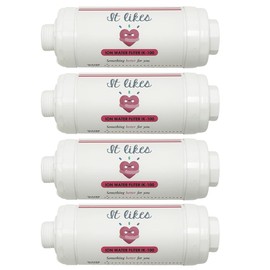 It likes ION WATER Bidet filter - Clean Water Bidet Filter for Electronic Toilet Seats (4PCS)