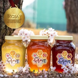 THE HONEY INN [Hanul Honey] Domestic premium natural 100% honey 2.4kg 2.4kg of natural 100% miscellaneous honey