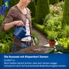 Kiepenkerl Steviasamen Honigkraut 105805