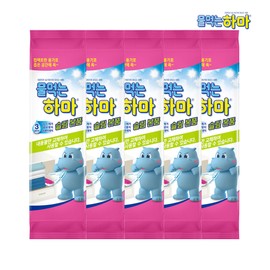 5 Water Drinking Hippo Slim Dehumidifier Products / 물먹는하마 슬림 제습제 본품 5개