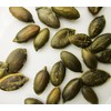 Stony Brook Pepitas (Roasted Pumpkin Seeds) - 16 oz.