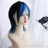 Wig, Wig, Wolf Cut, Layer, Beautiful Man, Harajuku, Two-tone, Cyberpunk,