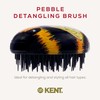 Kent Brushes Pebble Detangling Brush - Ideal for Detangling and