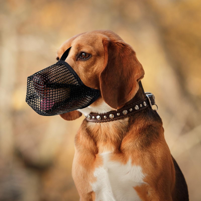Muzzle Medium Dogs Adjustable Poison Bait Protection Dog Black Muzzles