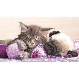 Whiskers & Paws: 2025-2026 28-Month Inspirational Pocket Planner