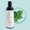 Shampoo De Romero Shampoo Anticaída De Sabila Y Jojoba