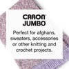 Caron CAR Jumbo Ombre White Water Yarn - 2 Pack