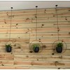 Shineloha 2 Pack Hanging Planters for Indoor Plants with 5.5"