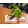 Japanese Classic Grater for Wasabi and Ginger With Instruction Manual,