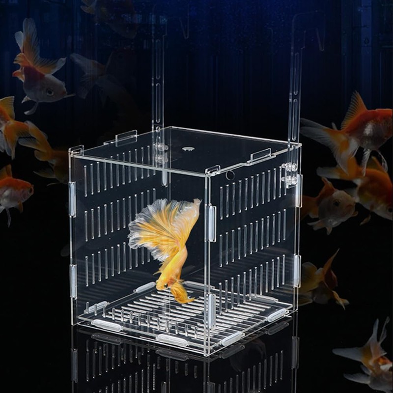 Vitalux Fish Breeding Isolation Box, 10 x 10 x 10,
