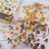 PET Scrapbook Stickers, DIY Decorative Products (Apricot Yellow)