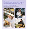 RyanDesign 6-Pack Plastic Queen Bee Cage – Reusable ABS Beekeeping