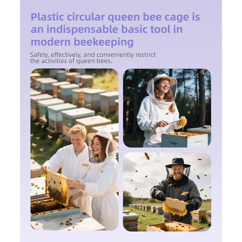RyanDesign 6-Pack Plastic Queen Bee Cage – Reusable ABS Beekeeping