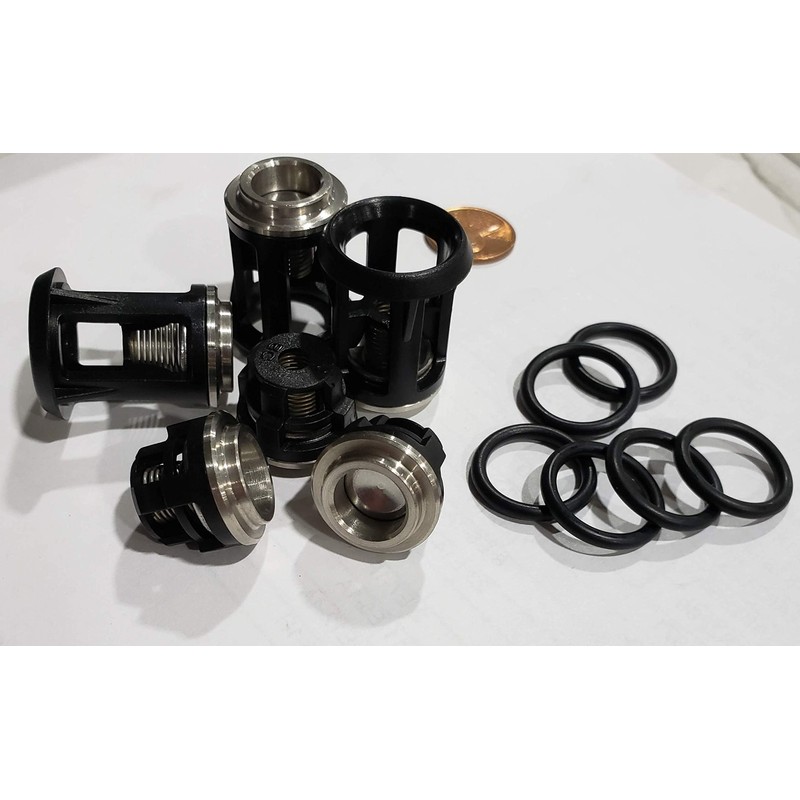 AR Annovi Reverberi Replacement Valve Kit 6 Pack, AR2869, Black