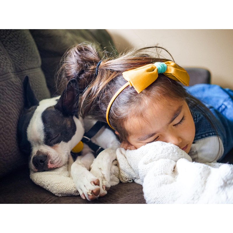 npluseins Coral Fleece Blanket - The Original with Sleeves &